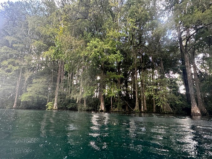 Cabins (United States of America, Dunnellon, Florida)