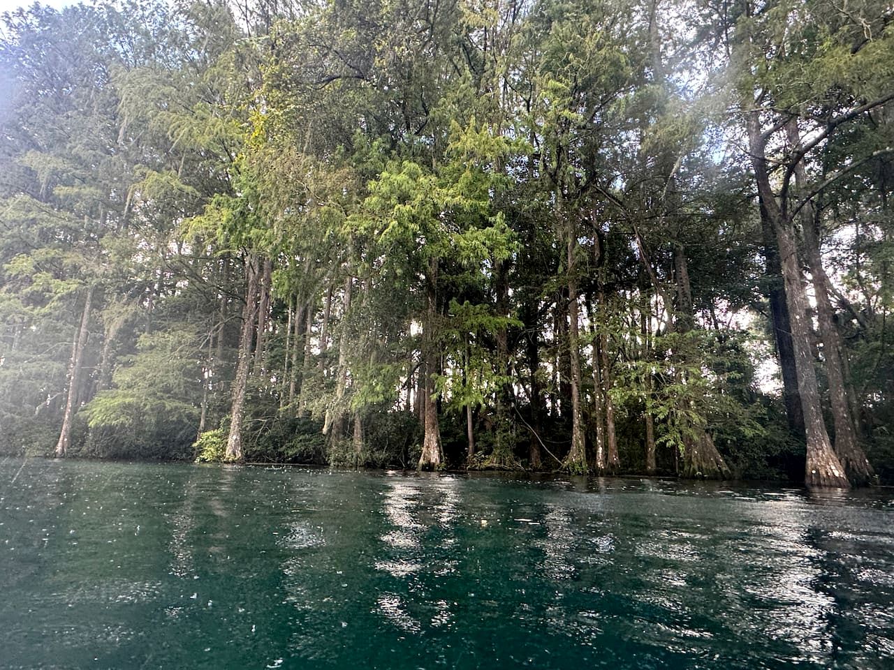 Cozy Cottage with River Access for a Fun-Filled Getaway by the Rainbow River in Florida
