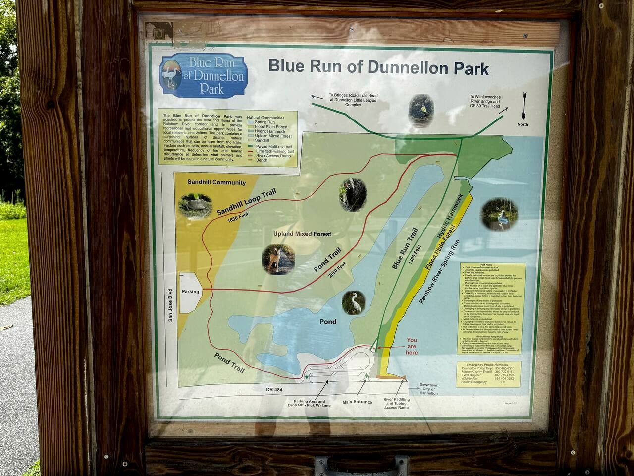 Cozy Cottage with River Access for a Fun-Filled Getaway by the Rainbow River in Florida