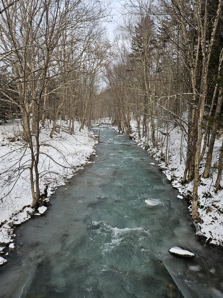 Tranquil Cabin Hideaway with Firepit and Riverfront Views on the Green River in Vermont
