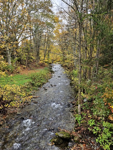 Cabins (United States of America, Sandgate, Vermont)