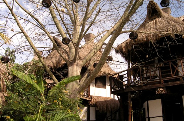 Nature Lodges (Tulum, Quintana Roo, Mexico)