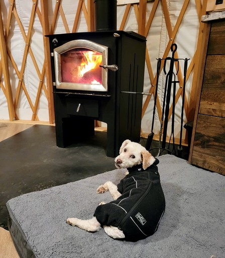 Yurts (United States of America, Boise, Idaho)