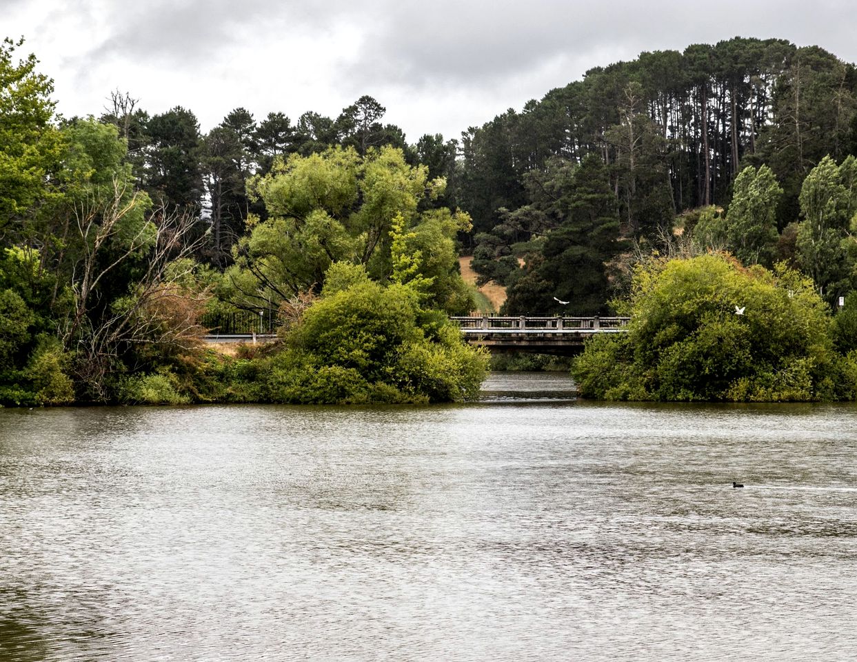 Stunning, Secluded, Rustic Cabin in Daylesford, Victoria