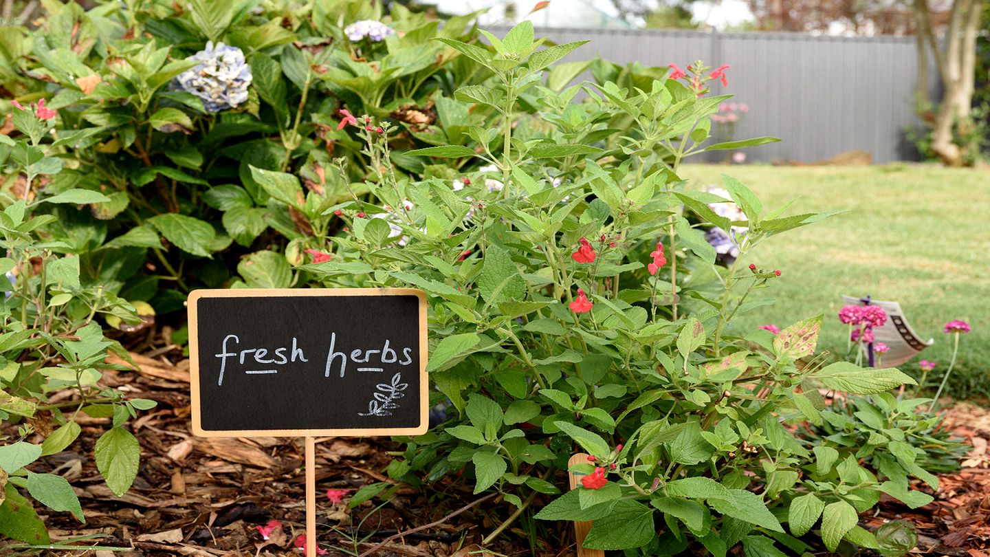 Amazing Vacation Rental with Fireplace in Daylesford, Victoria