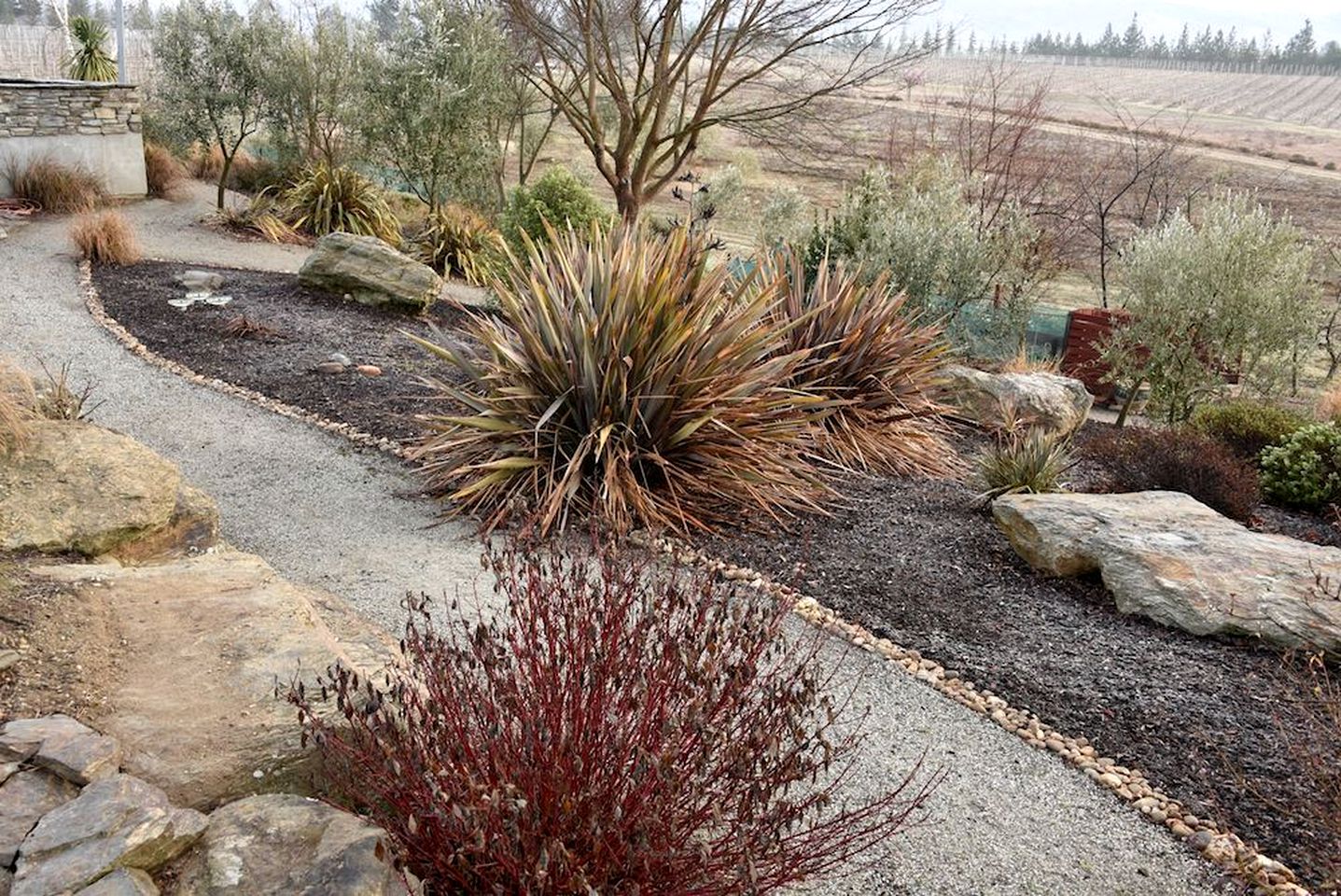 Elegant Suite Rental on Vineyard near Alexandra, New Zealand