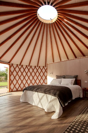 Yurts (Greytown, North Island, New Zealand)