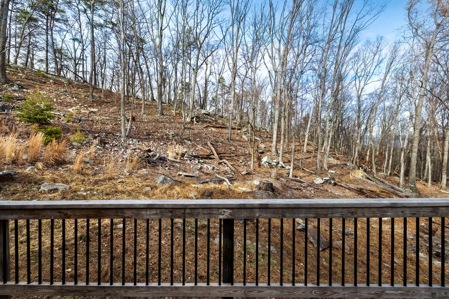 Tranquil Cabin in Berkeley Springs State Park with Wood Burning Stove, Fire Pit, Grill, and a Hammock for the Ultimate Relaxing Getaway