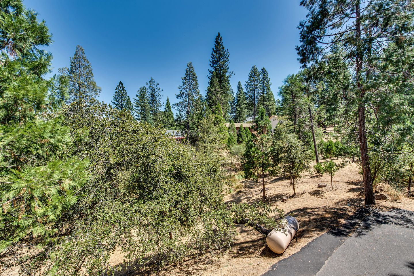 Pet-Perfect Pine Mountain Lake: Explore Beaches from Your Pet-Friendly Rental