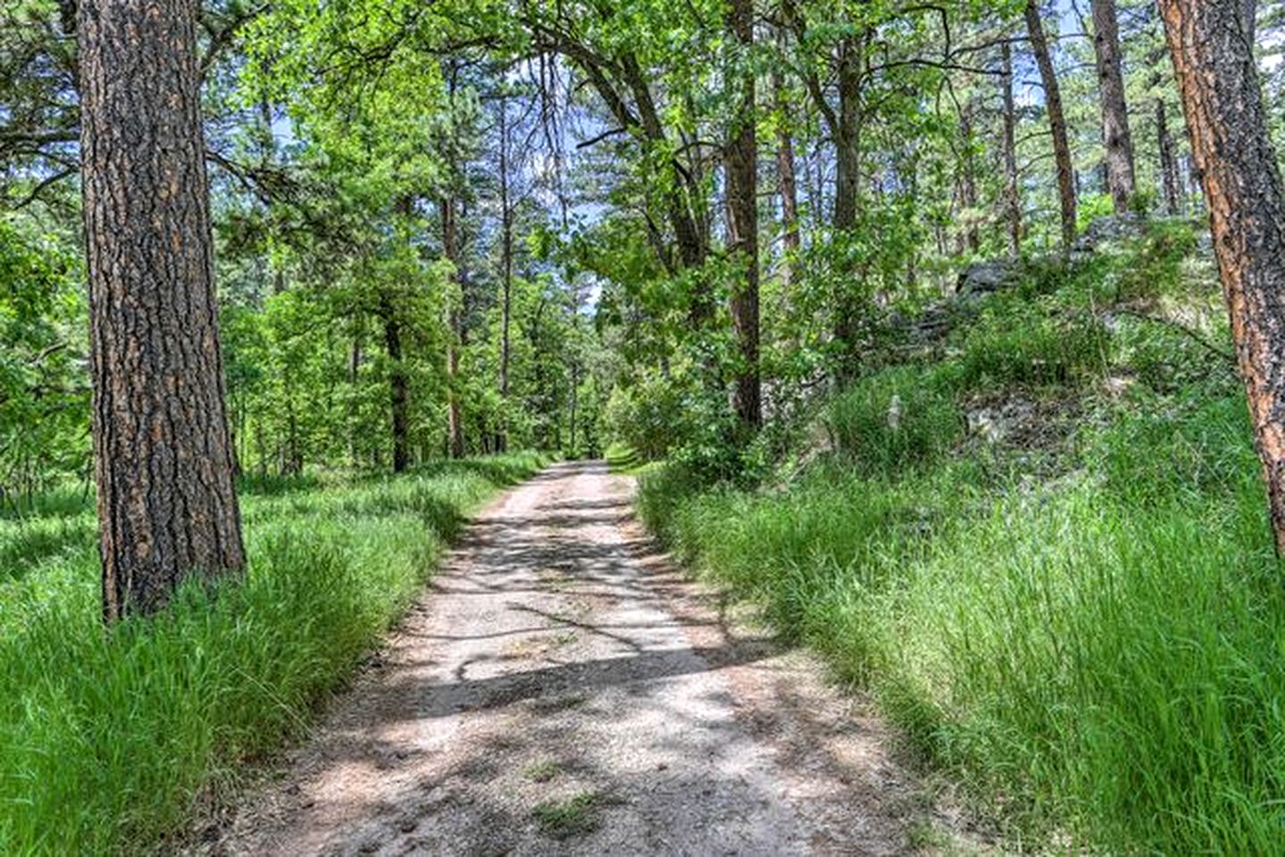 Enchanting Historic Cabin Haven near Black Hills Mountain in South Dakota