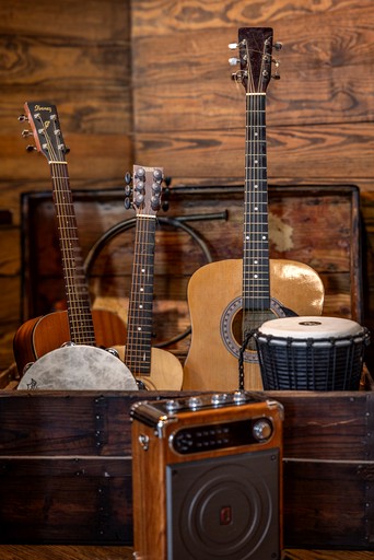 Vacation Rentals (United States of America, Townsend, Georgia)