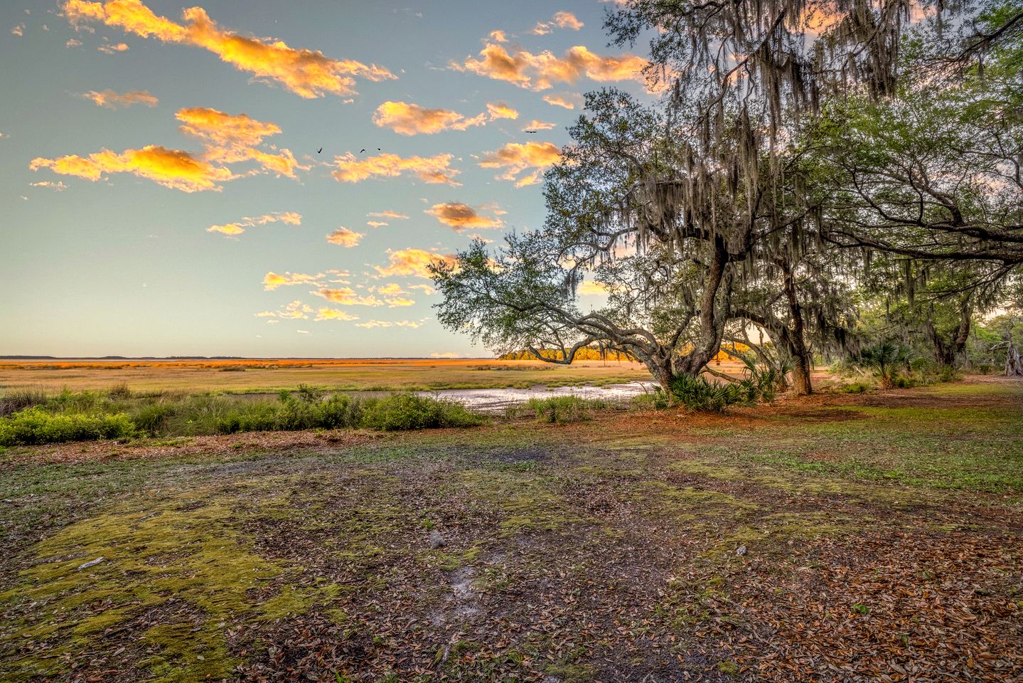 Private Luxury Lodge with Hot Tub for Family Reunions and Special Celebrations in Townsend, Georgia