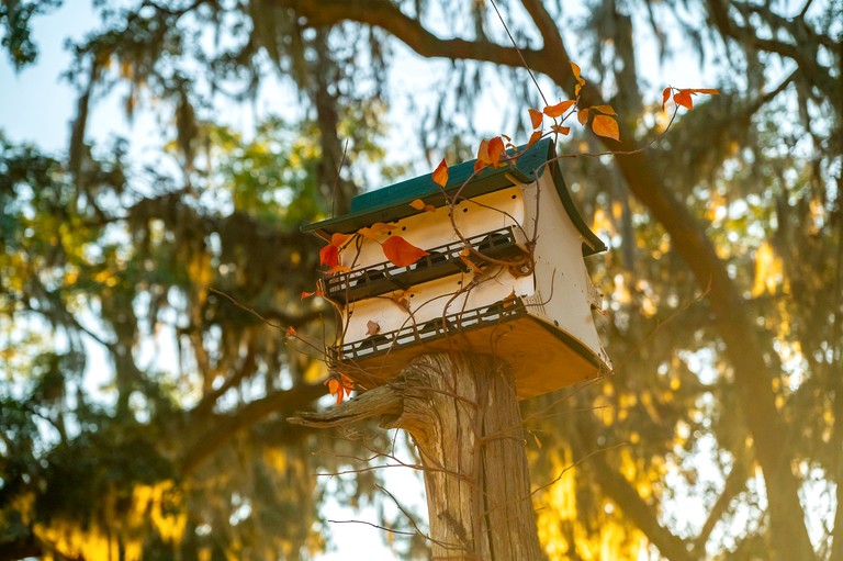 Tree Houses (United States of America, Townsend, Georgia)
