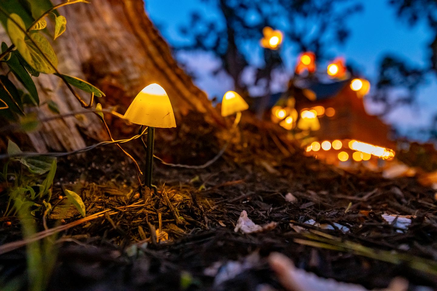 Secluded Treehouse Tent Retreat with Wildlife Viewing Porch, BBQ Setup, and Cozy Comforts in Townsend, Georgia