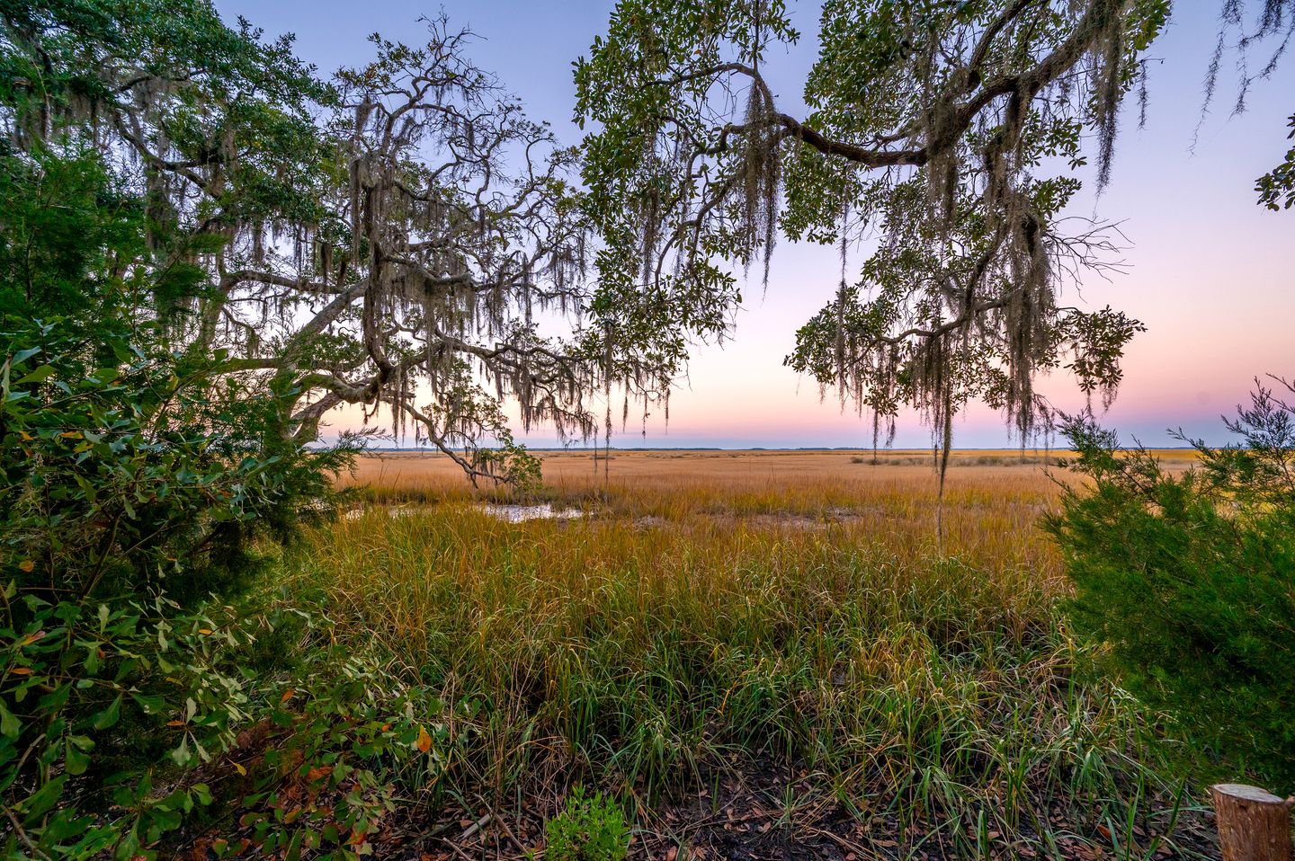 Secluded Treehouse Tent Retreat on the Marsh with Outdoor Dining, Grilling Gear, Games, Views in Townsend, Georgia