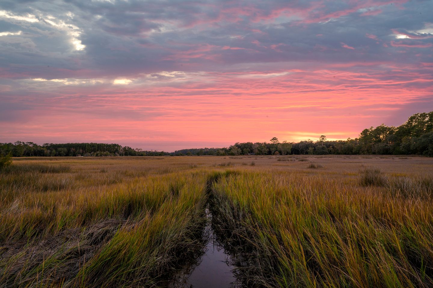 Secluded Treehouse Tent Retreat on the Marsh with Outdoor Dining, Grilling Gear, Games, Views in Townsend, Georgia