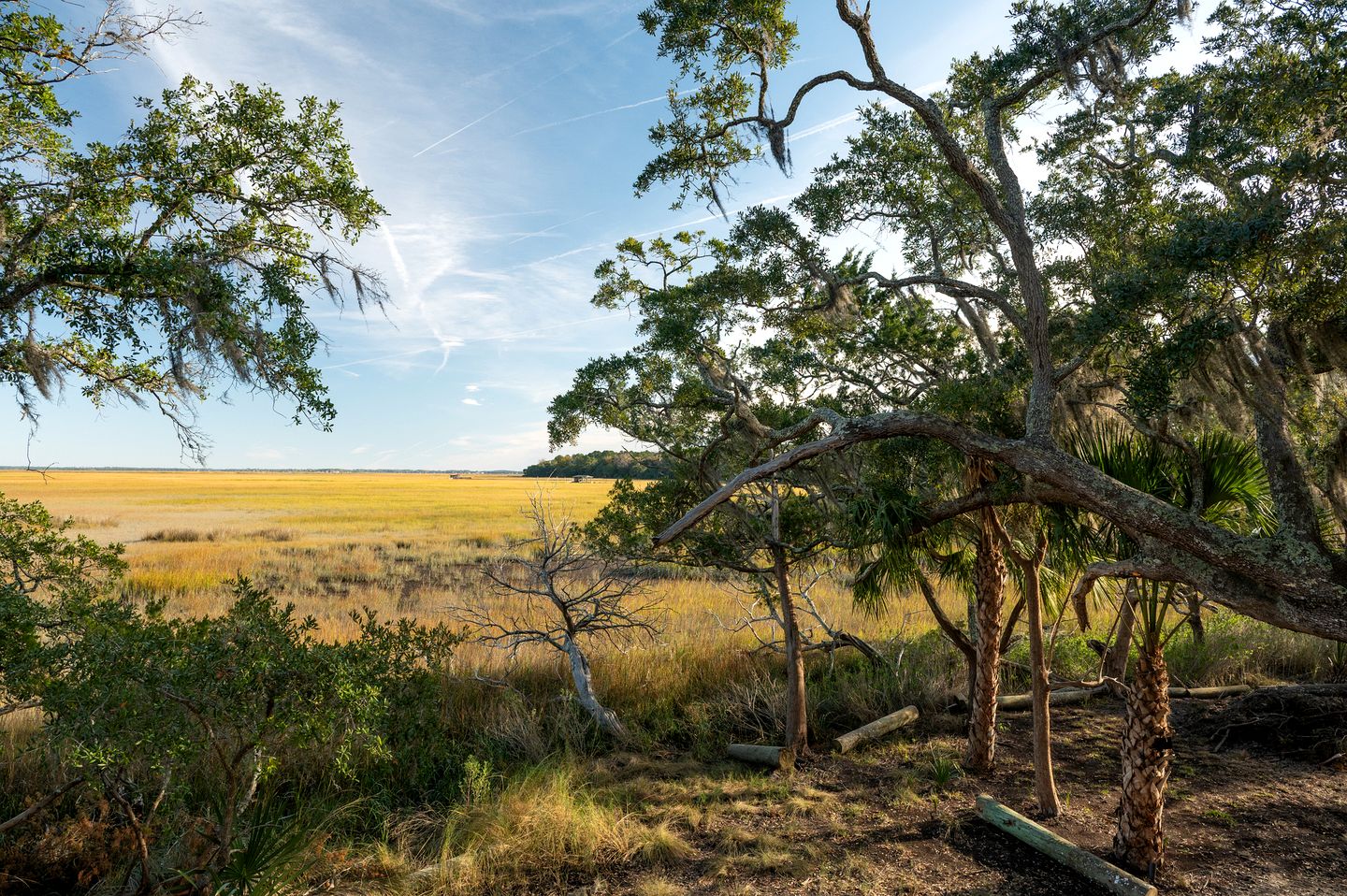 Secluded Treehouse Tent Retreat on the Marsh with Outdoor Dining, Grilling Gear, Games, Views in Townsend, Georgia