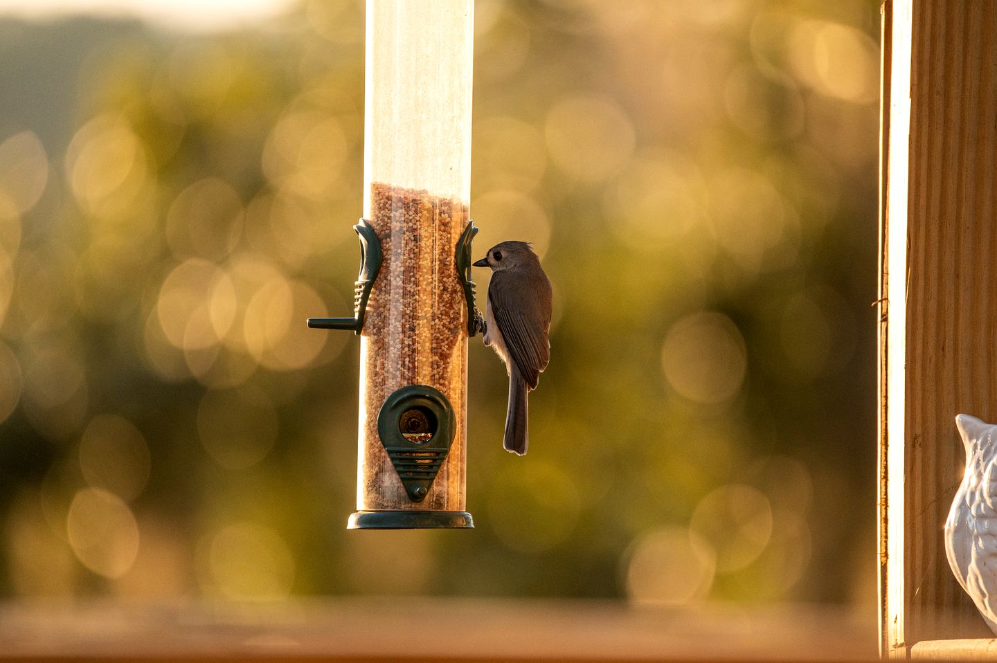 Secluded Treehouse Tent Retreat on the Marsh with Outdoor Dining, Grilling Gear, Games, Views in Townsend, Georgia