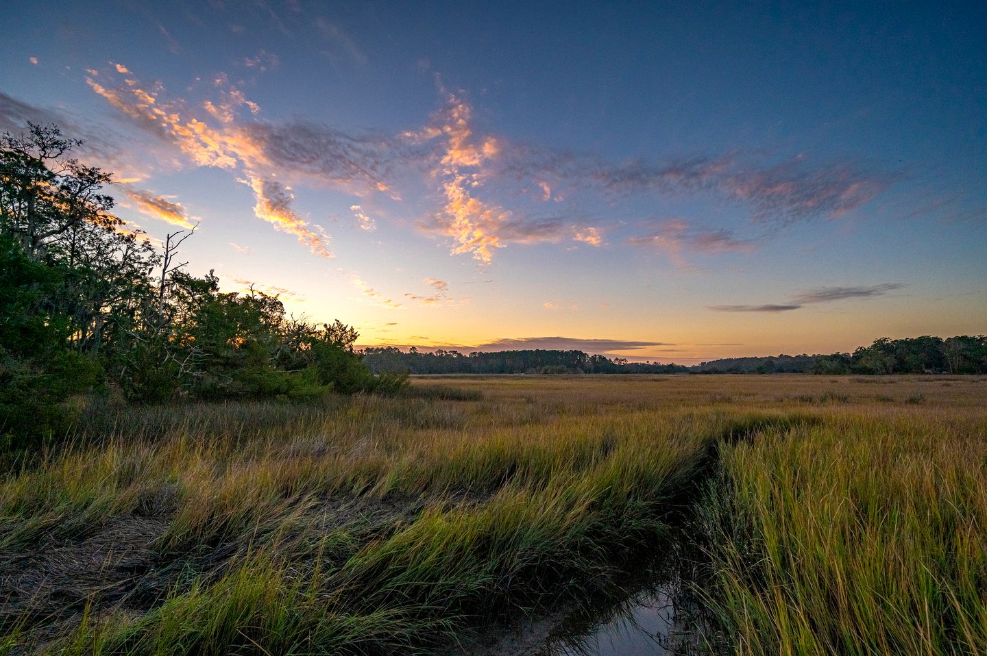 Secluded Treehouse Tent Retreat on the Marsh with Outdoor Dining, Grilling Gear, Games, Views in Townsend, Georgia