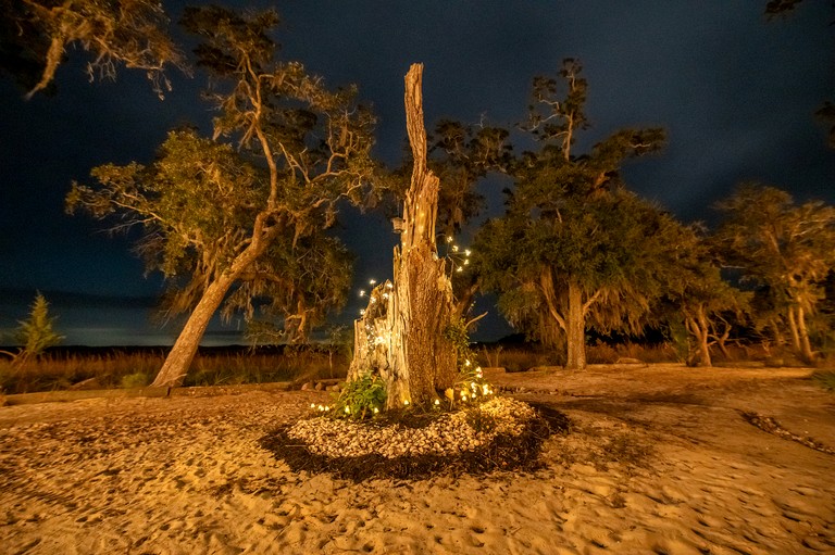 Tree Houses (United States of America, Townsend, Georgia)