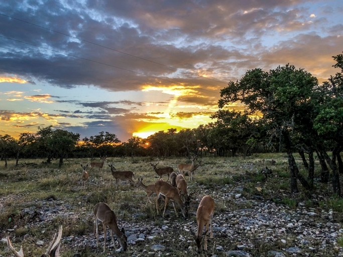 Cabins (United States of America, Mountain Home, Texas)