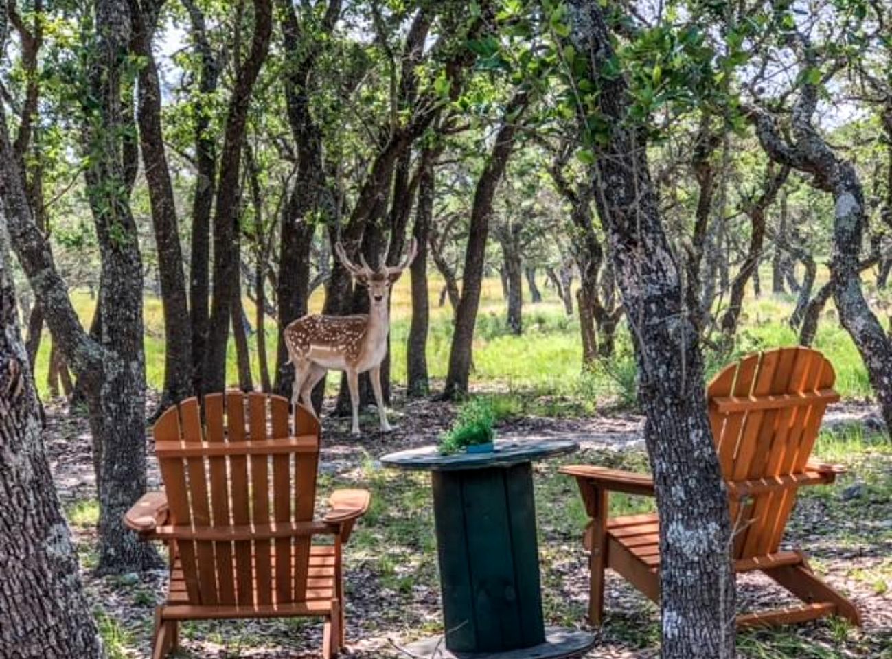 Charming Pet-Friendly Hill Country Cabin with Dark-Sky Stargazing near Mountain Home, Texas