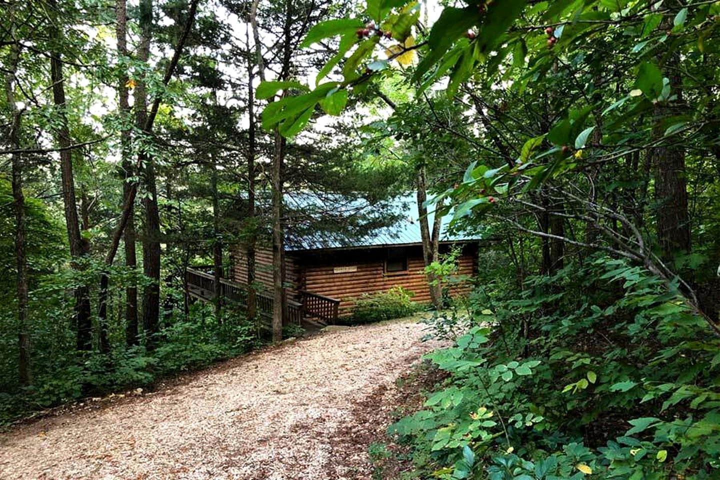 Mountain Top Cabin Incredible for Adventure Lovers in Arkansas