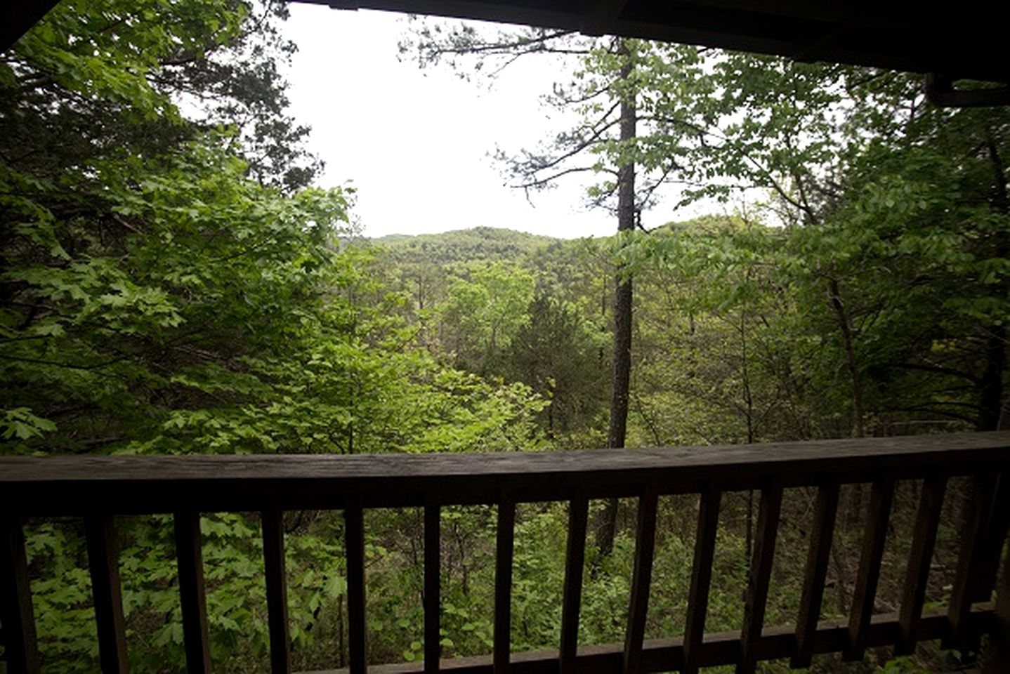 Mountain Top Cabin Incredible for Adventure Lovers in Arkansas