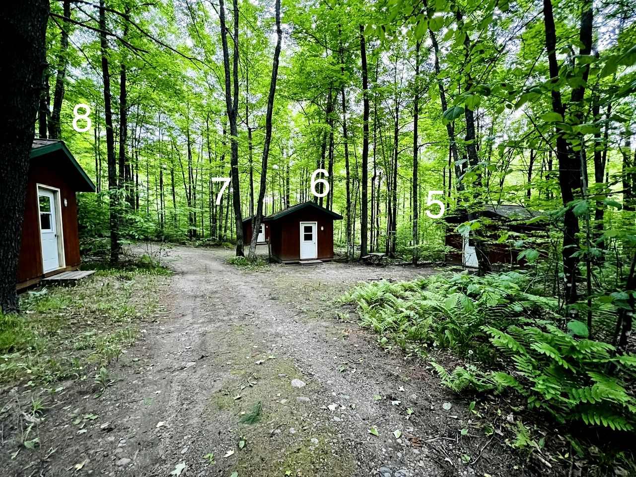Rustic Cabin Nestled in the Trees for a Unique Outdoor Experience in White Lake, Wisconsin