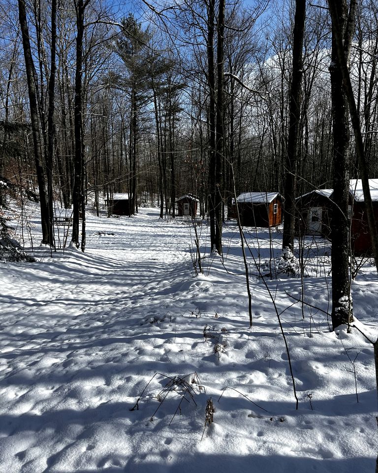 Rustic Cabin Nestled in the Trees for a Unique Outdoor Experience in White Lake, Wisconsin