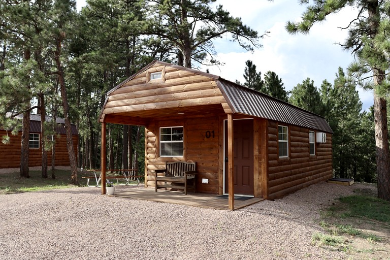Stunning Wooden Cabin Nestled Amidst Trees in Rapid City, South Dakota
