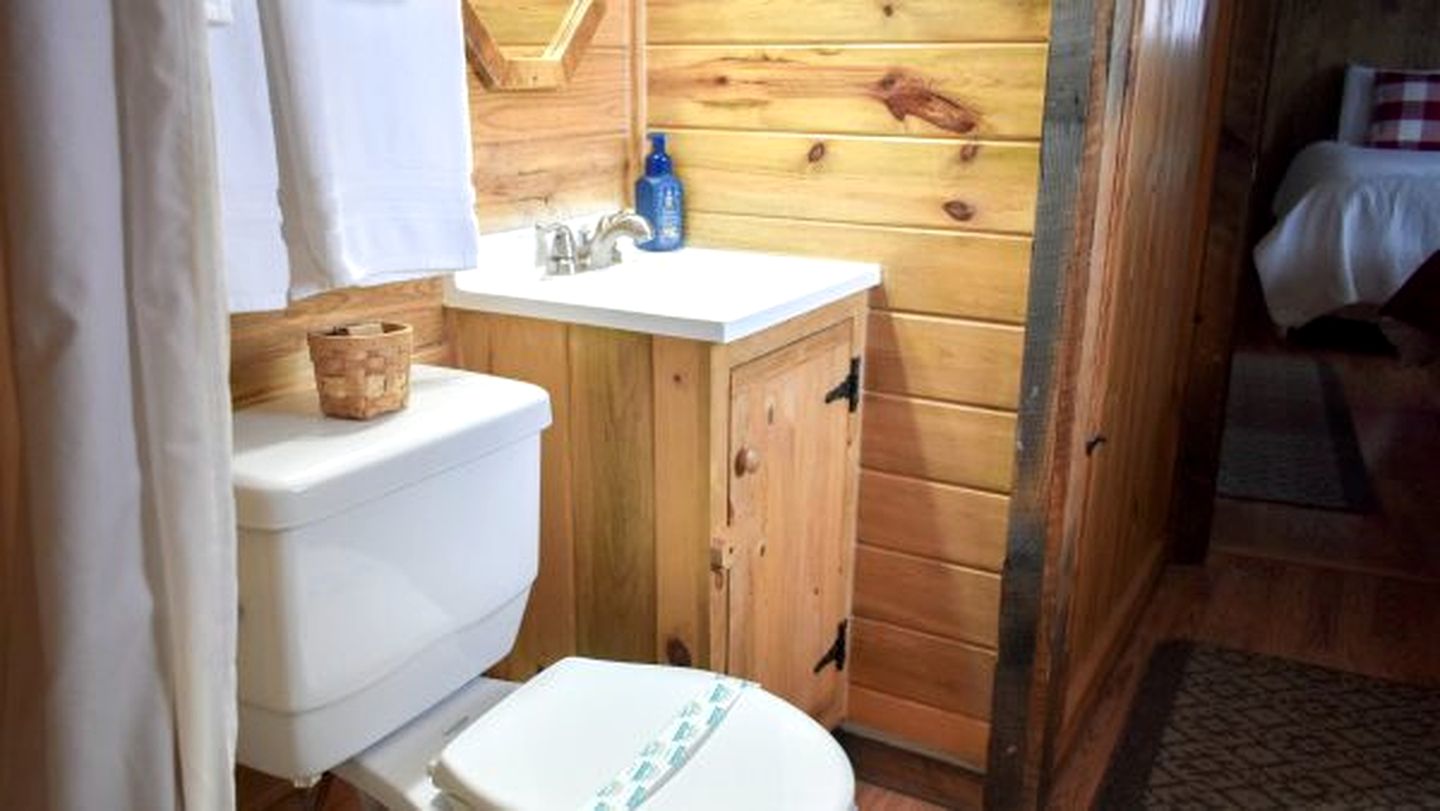 Cozy Glamping Cabin in Red Feather Lakes, Perfect for an Escape to the Rocky Mountains