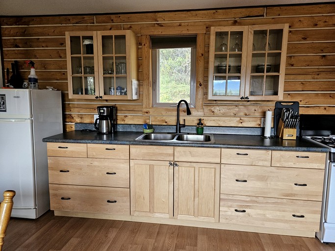 Log Cabins (United States of America, McCarthy, Alaska)