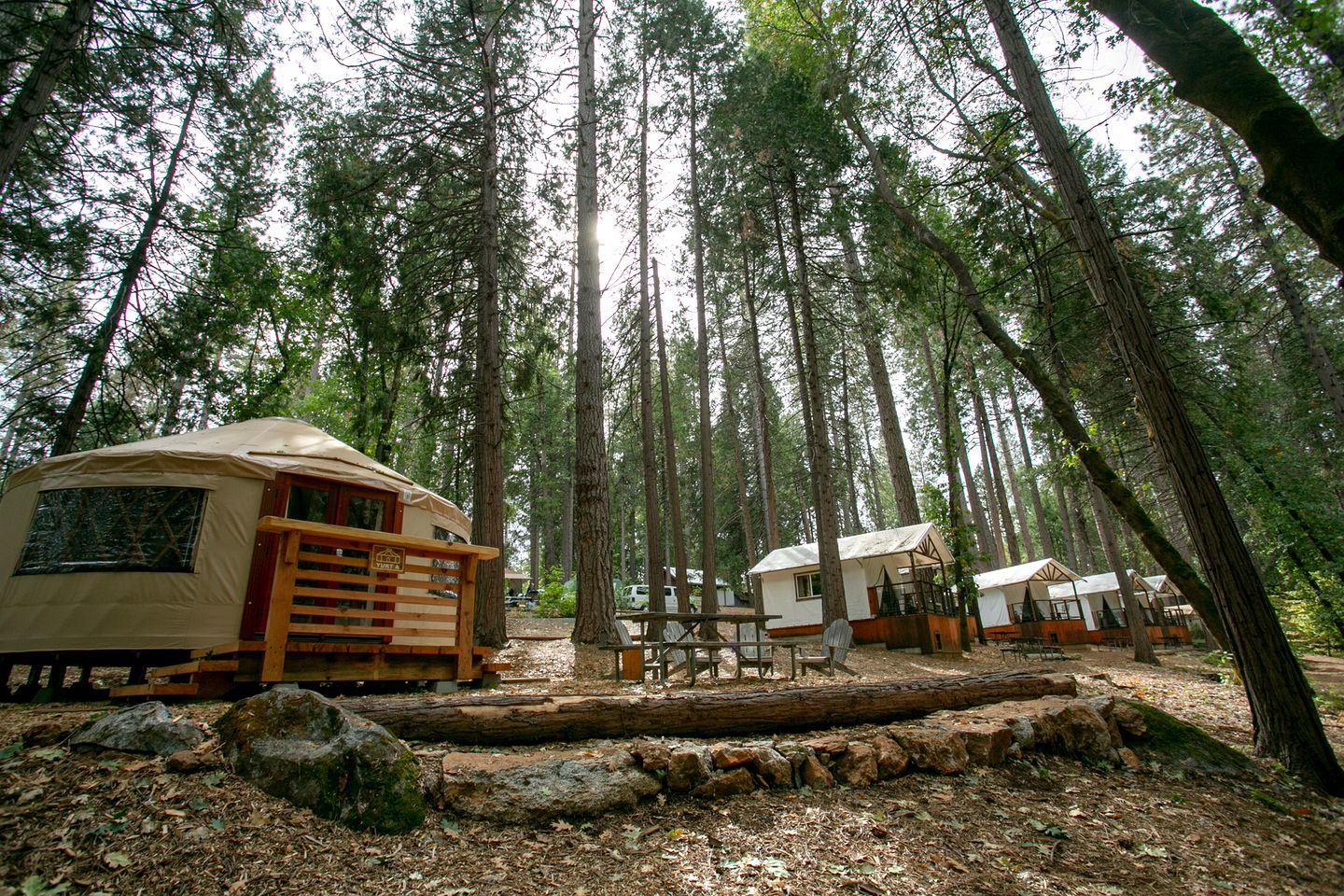 Beautiful Yurt Nestled in the Trees of a Wonderful Campground for an Unforgettable Glamping Getaway in Nevada City, California