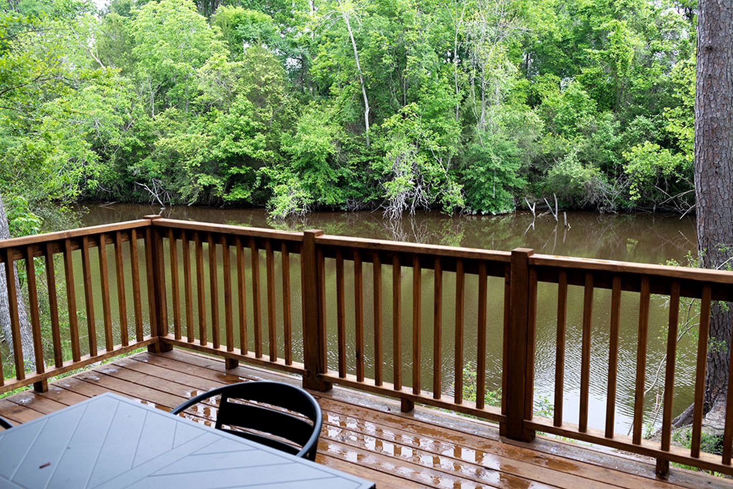 Spacious Cozy Cabin with Back Porch in Livingston, Texas