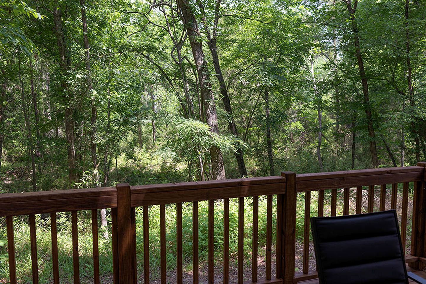 Deluxe Cabin Nestled in the Woods in Livingston, Texas