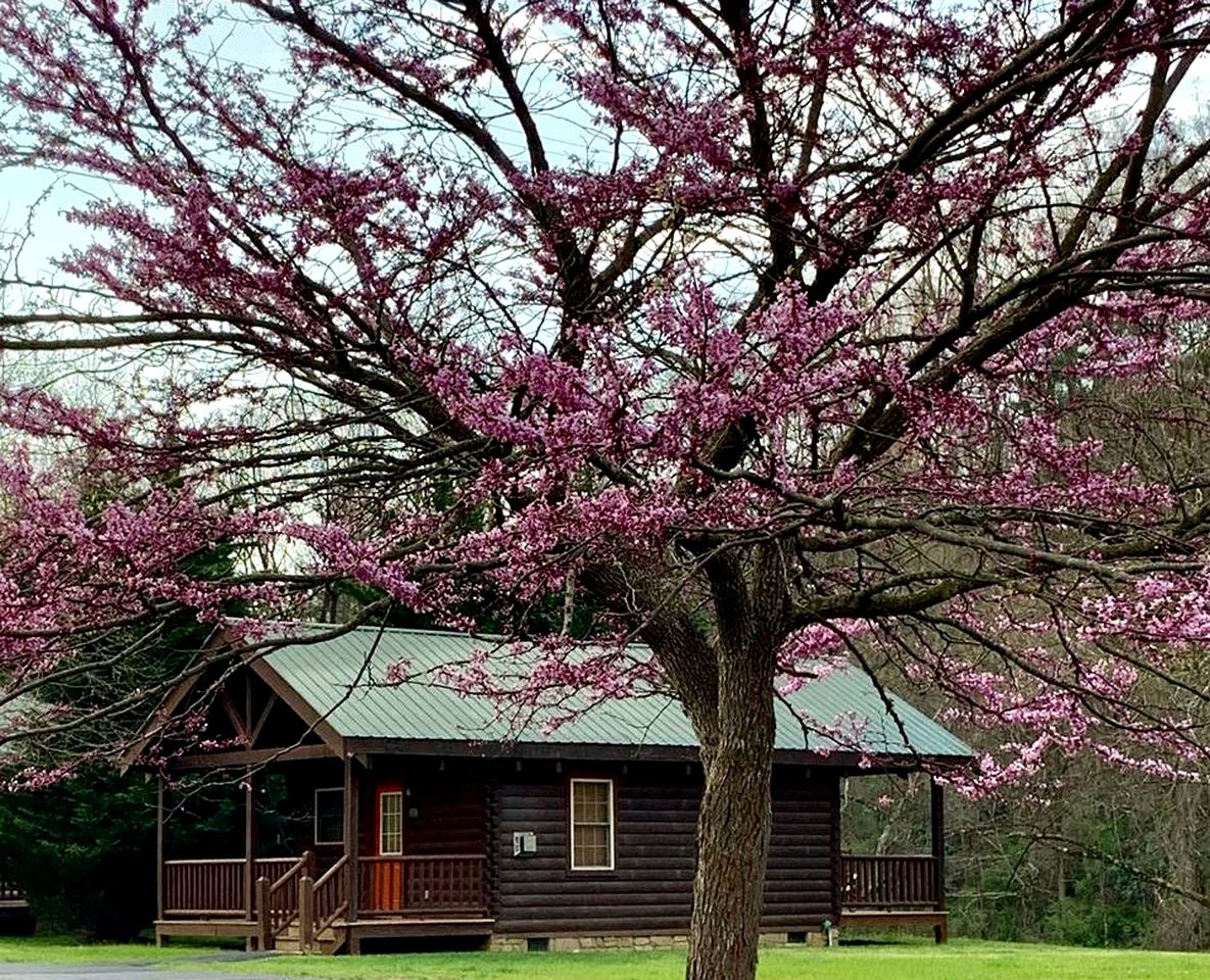 Blissful Riverside Cabin Retreat Near New River, Virginia