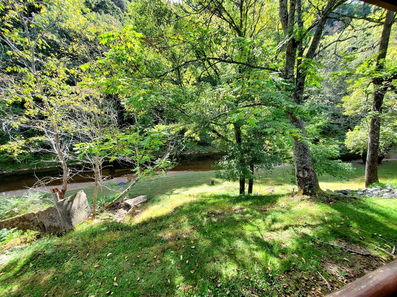 Idyllic Riverside Cabin Retreat Near New River, Virginia