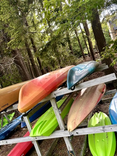 Cabins (United States of America, Beaver Cove, Maine)
