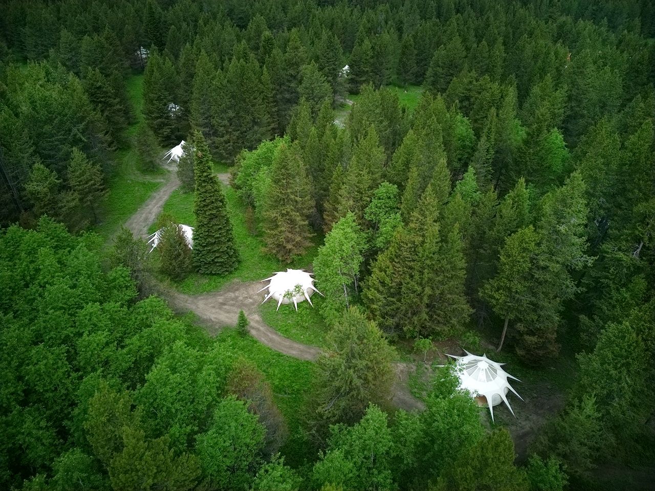 Amazing Family Bell Tent Surrounded by Nature on a Wonderful Glamping Retreat in Island Park, Idaho