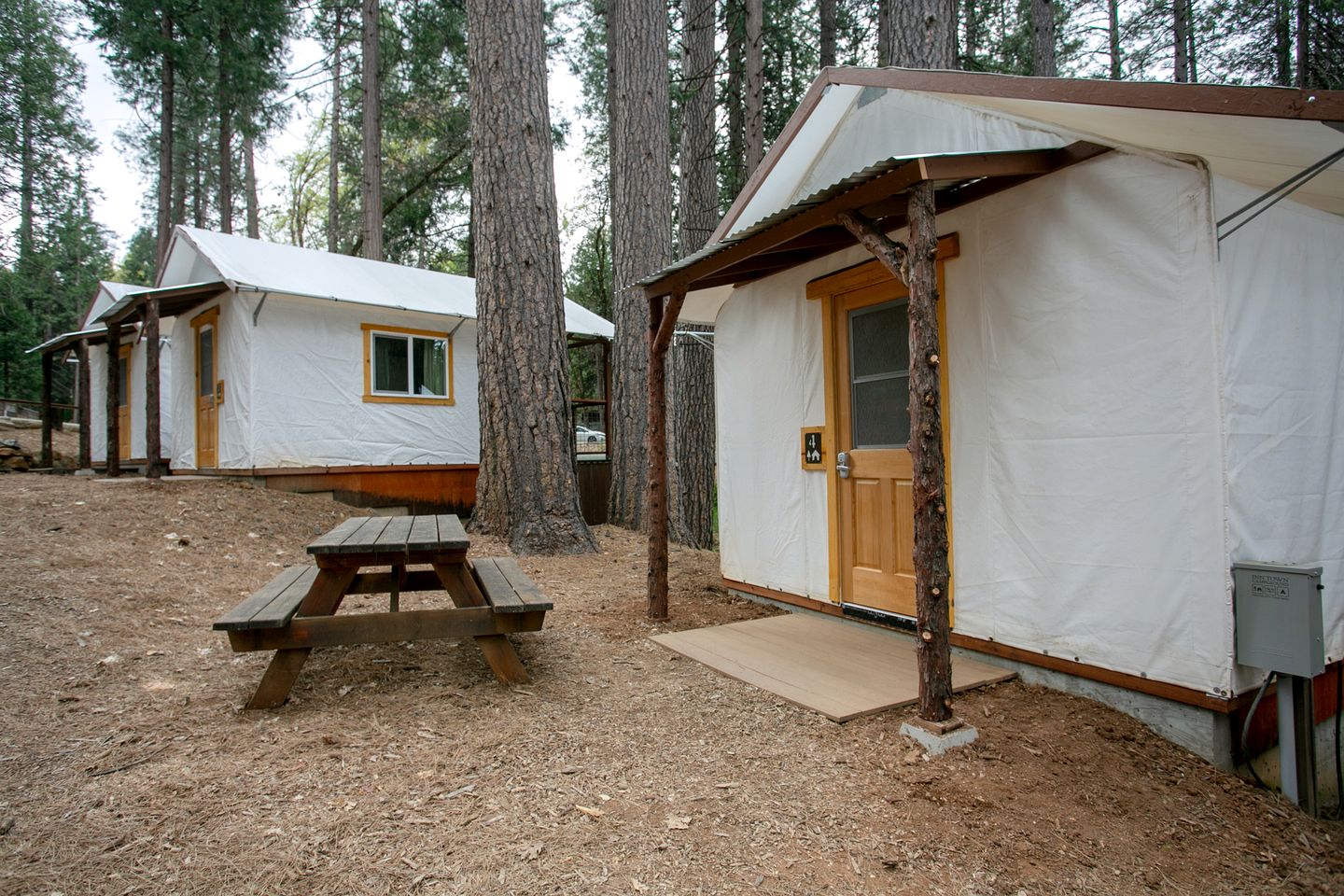 Amazing Tented Cabin near Tahoe National Forest for a Fantastic Glamping Getaway in Nevada City, California