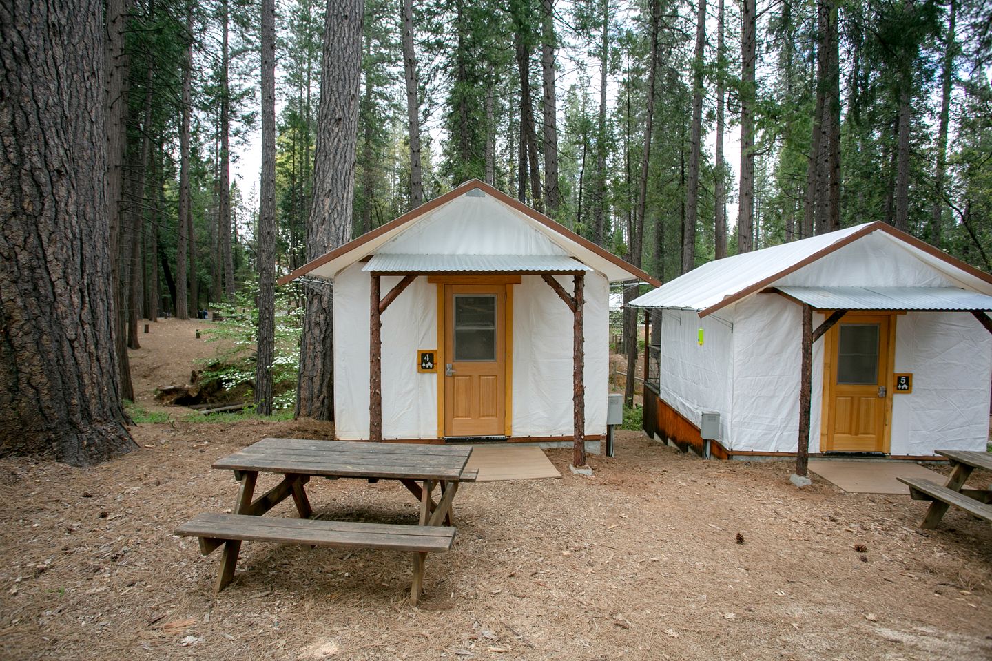 Amazing Tented Cabin near Tahoe National Forest for a Fantastic Glamping Getaway in Nevada City, California