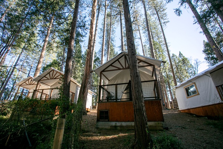 Tented Cabins (United States of America, Nevada City, California)