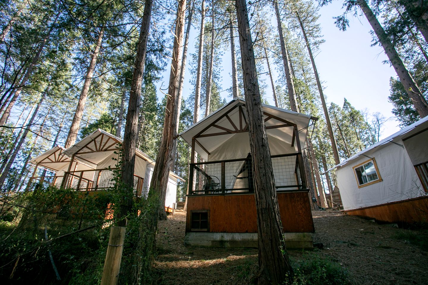 Luxurious Tented Cabin for a Memorable Couples Escape near Tahoe National Forest in Nevada City, California