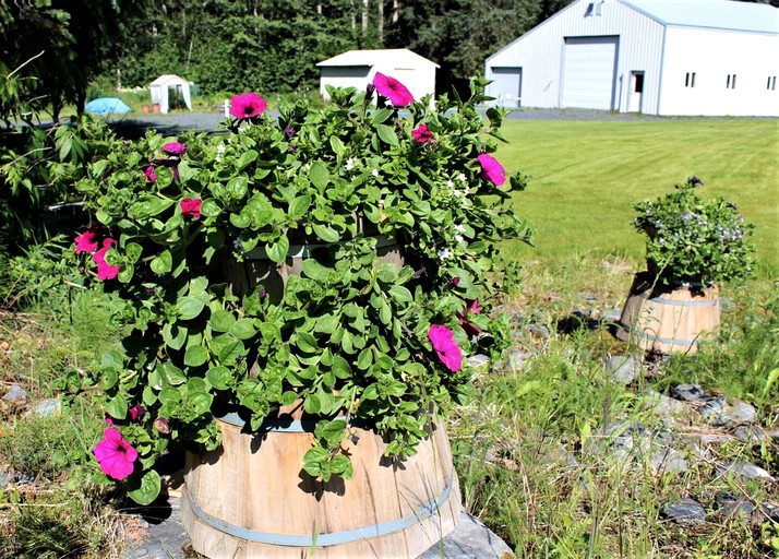 Vacation Rentals (United States of America, Seward, Alaska)