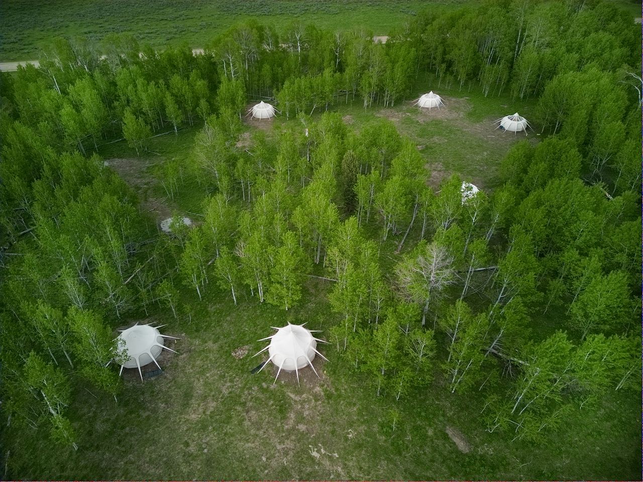 Lotus Bell Luxury · Yellowstone Luxury Bell Tent in Island Park, ID