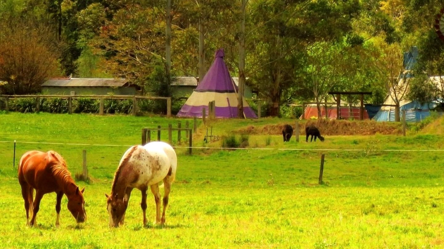 Group Luxury Camping Getaway in New South Wales, Australia
