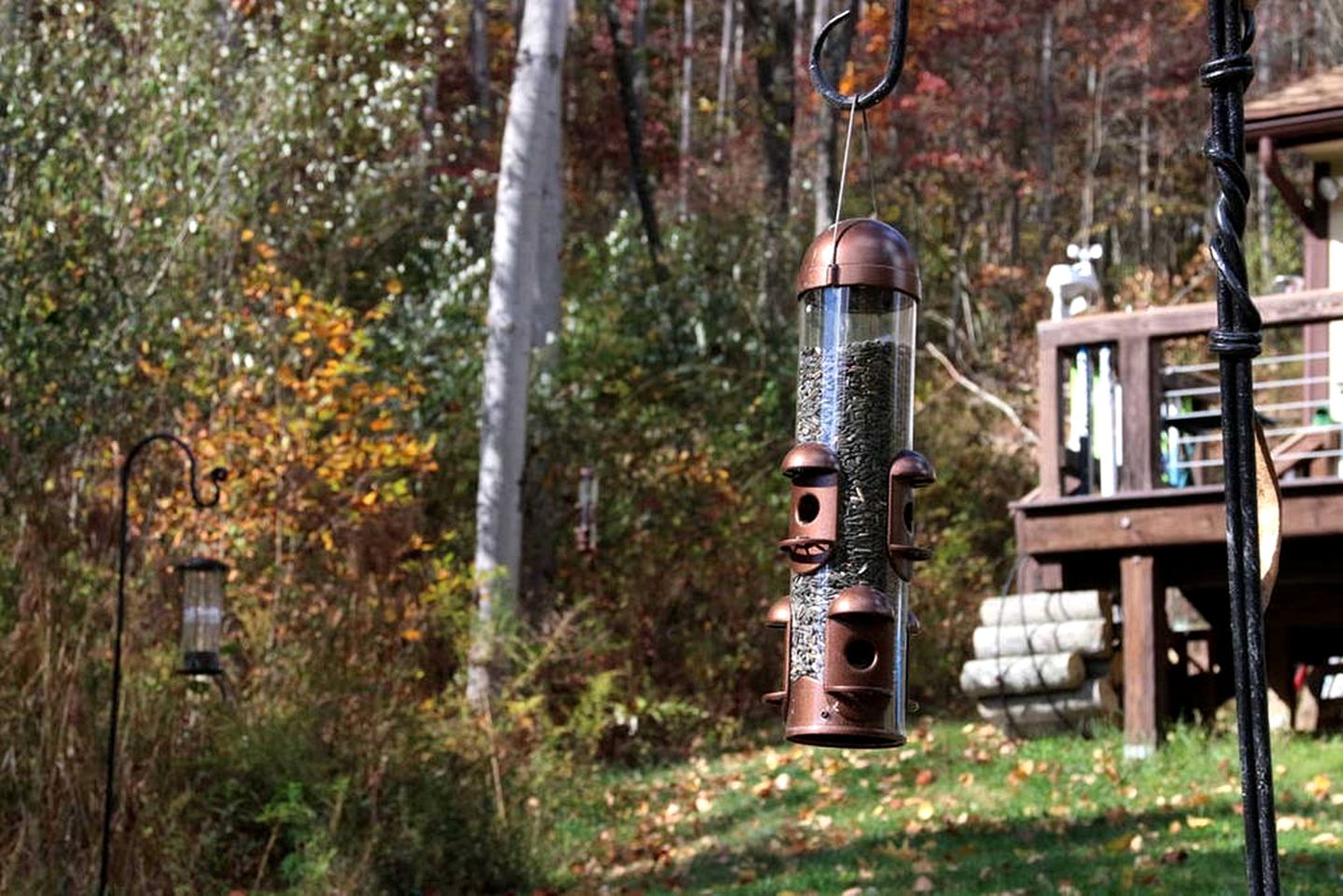 Secluded Cottage Rental with Swimming Pond in Bedford County, Southern Pennsylvania