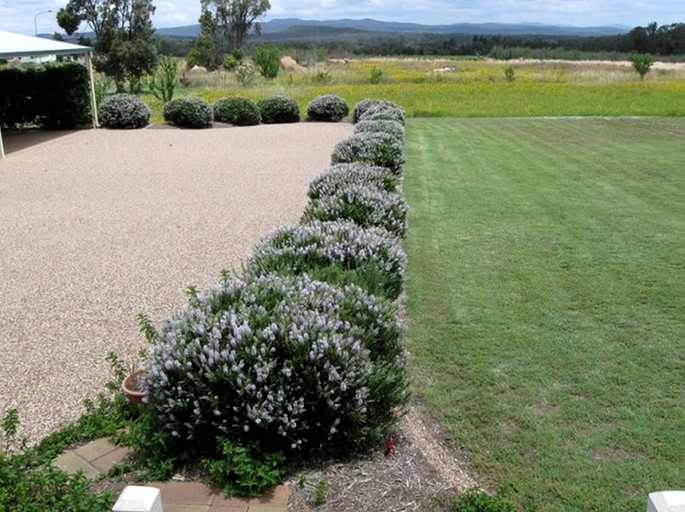 Nature Lodges (Stanthorpe, Queensland, Australia)