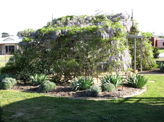 Nature Lodges (Stanthorpe, Queensland, Australia)